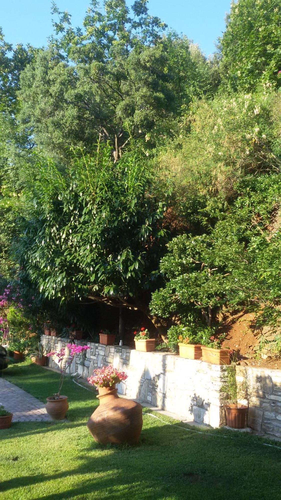 Villa Dimitra Skala Potamia  Zewnętrze zdjęcie