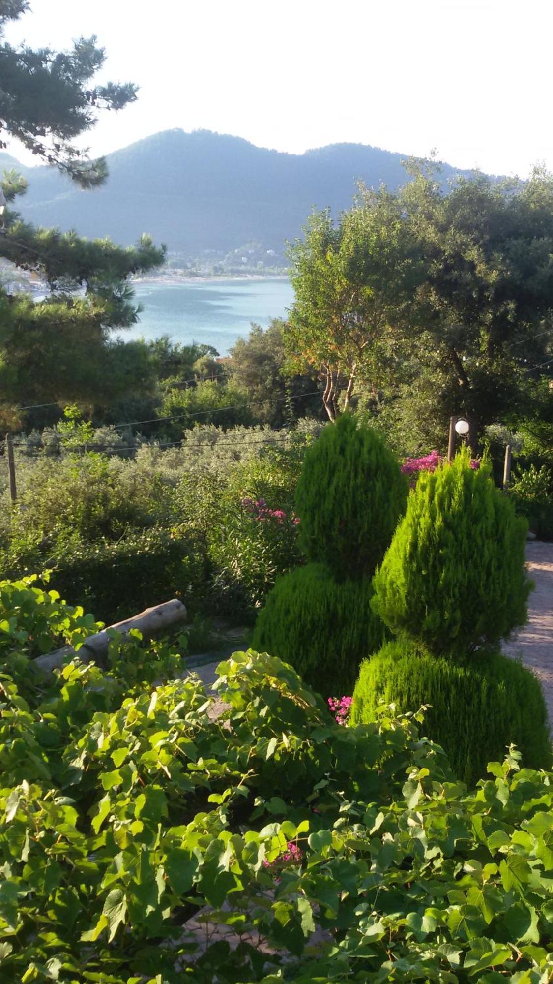 Villa Dimitra Skala Potamia  Zewnętrze zdjęcie