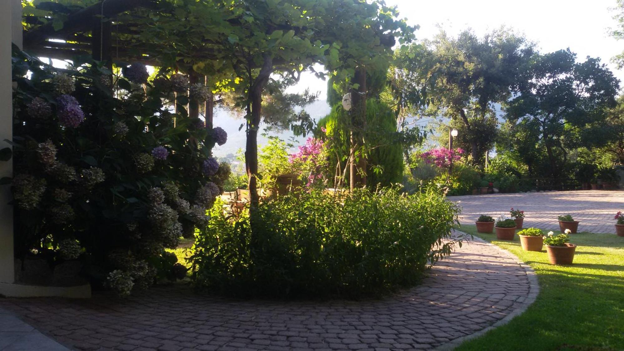 Villa Dimitra Skala Potamia  Zewnętrze zdjęcie